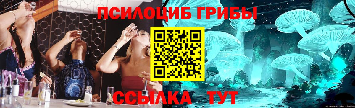 Псилоцибиновые грибы Psilocybine cubensis Донской