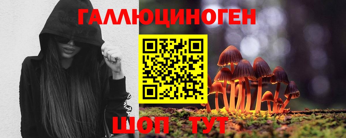 Донской  Галлюциногенные грибы прущие грибы  Вход с VPN 